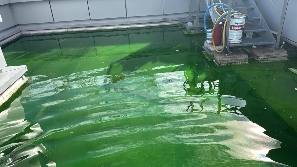 Toiture-terrasse d'immeuble mise en eau avec colorant fluorescéine pour recherche de fuite, étancheur Île-de-France