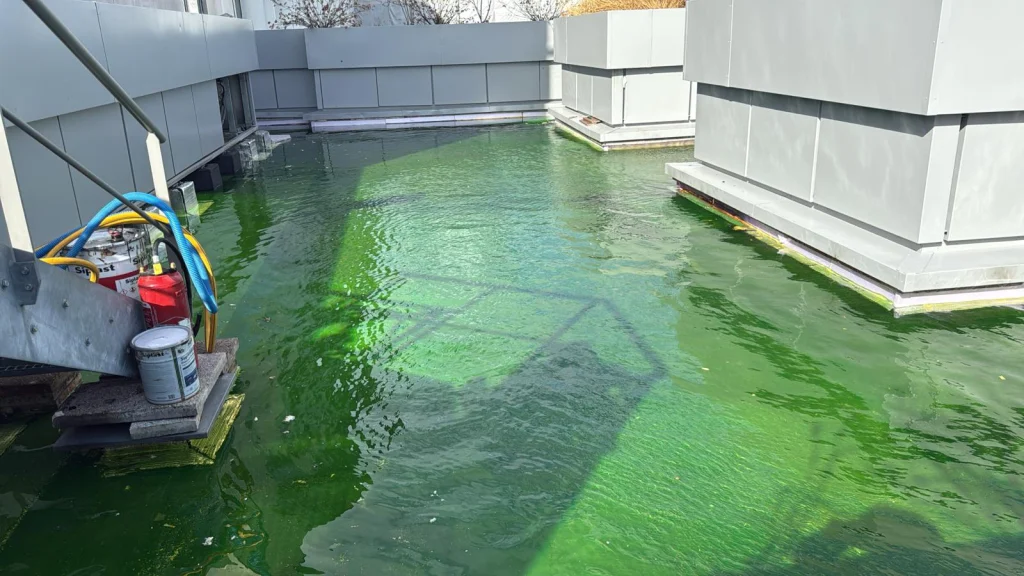 Toiture-terrasse d'immeuble mise en eau avec colorant fluorescéine pour recherche de fuite, étancheur Île-de-France