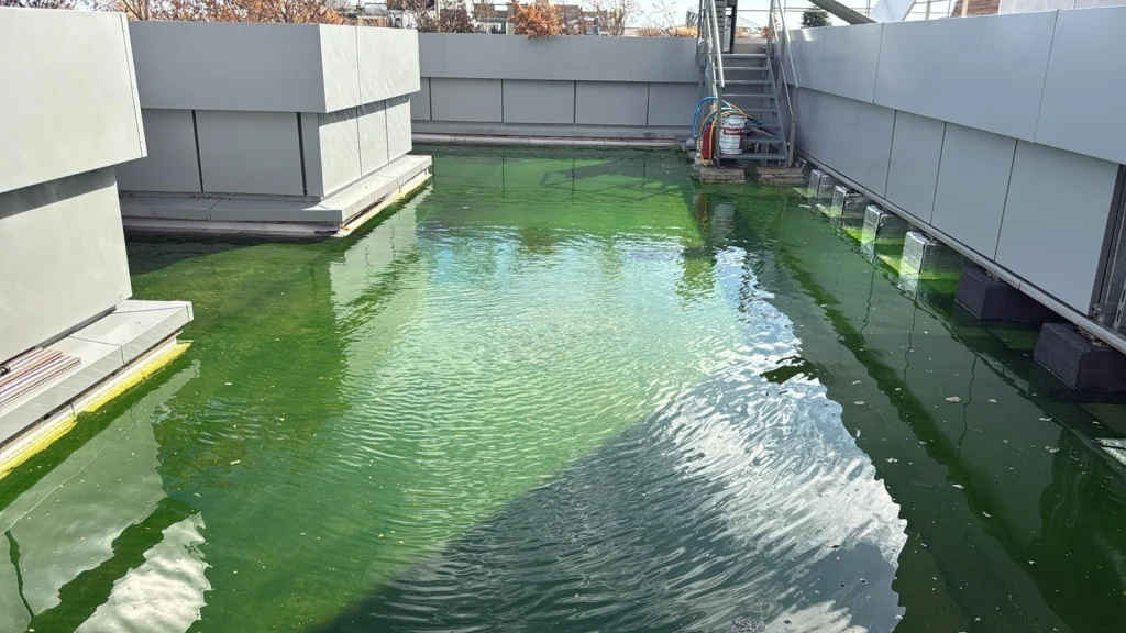 Toiture-terrasse d'immeuble mise en eau avec colorant fluorescéine pour recherche de fuite, étancheur Île-de-France