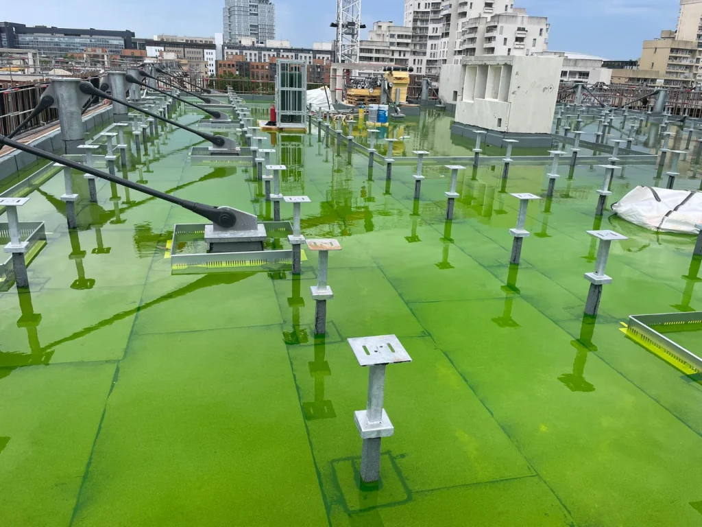 Grande toiture-terrasse neuve en mise en eau colorée avant pose des dalles sur plots, étancheur Île-de-France